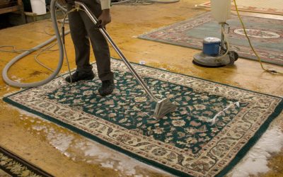 Learn about the best company that you can hire for Rug Washing on Gold Coast