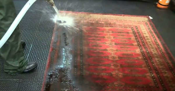 Rug-washing