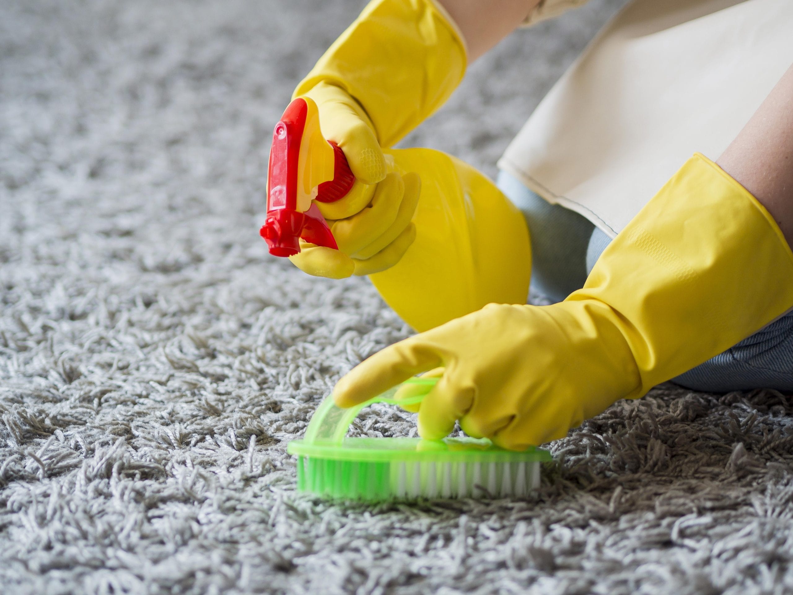 Gloved hands spraying and scrubbing a grey shag carpet
