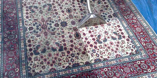 Extraction wand cleaning a cream and red Persian rug
