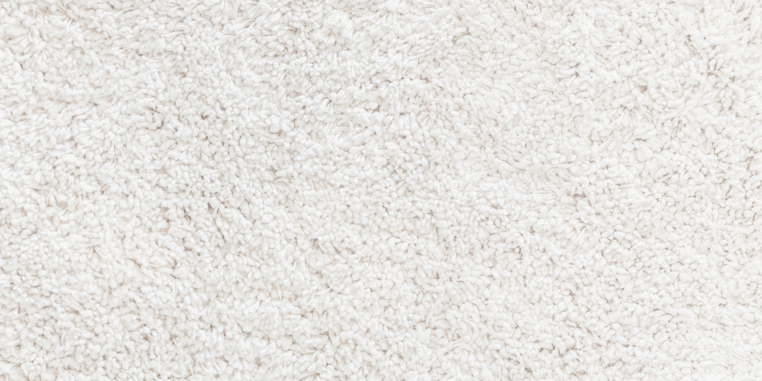 Close-up of a white shag rug texture