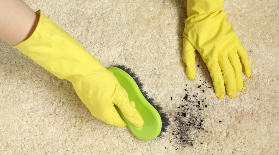 stain removal
