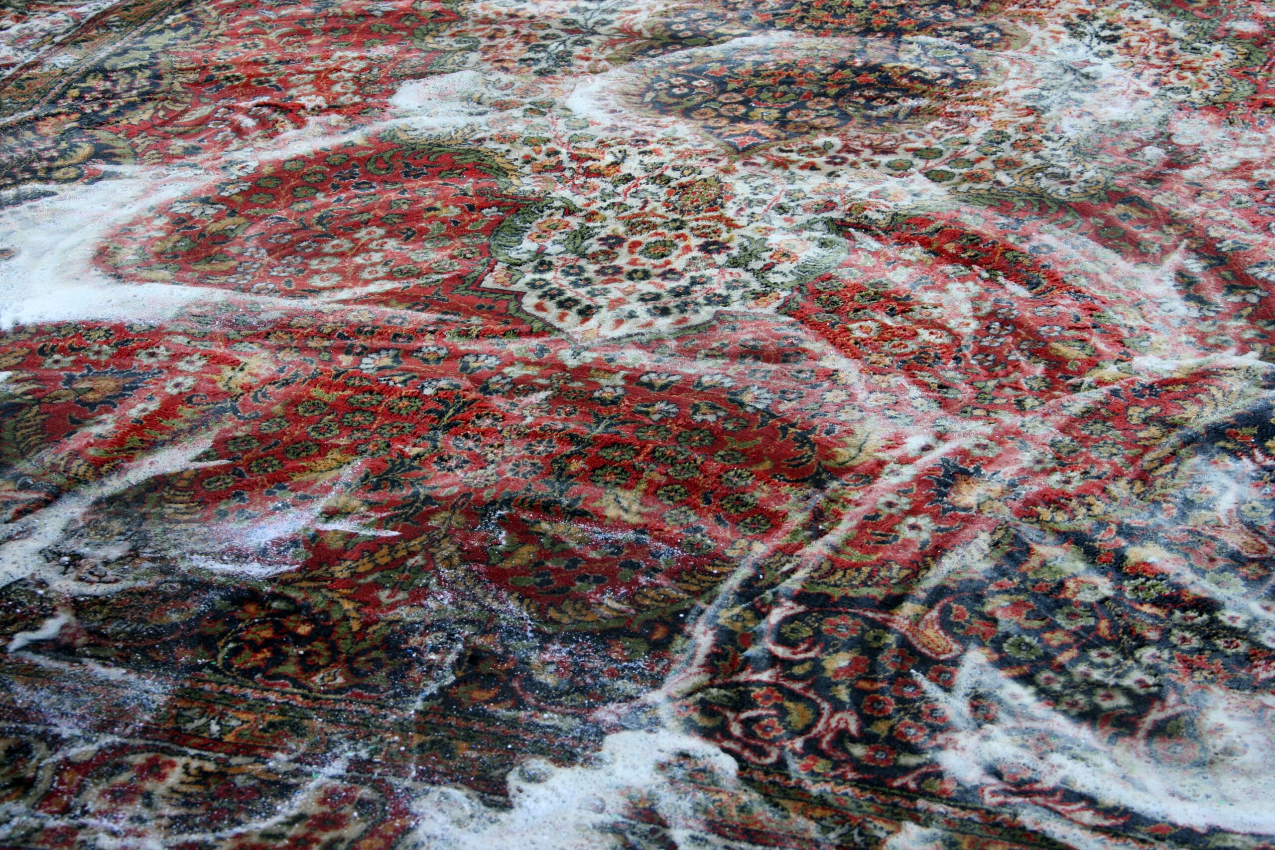 Close-up of a Persian rug covered in cleaning suds