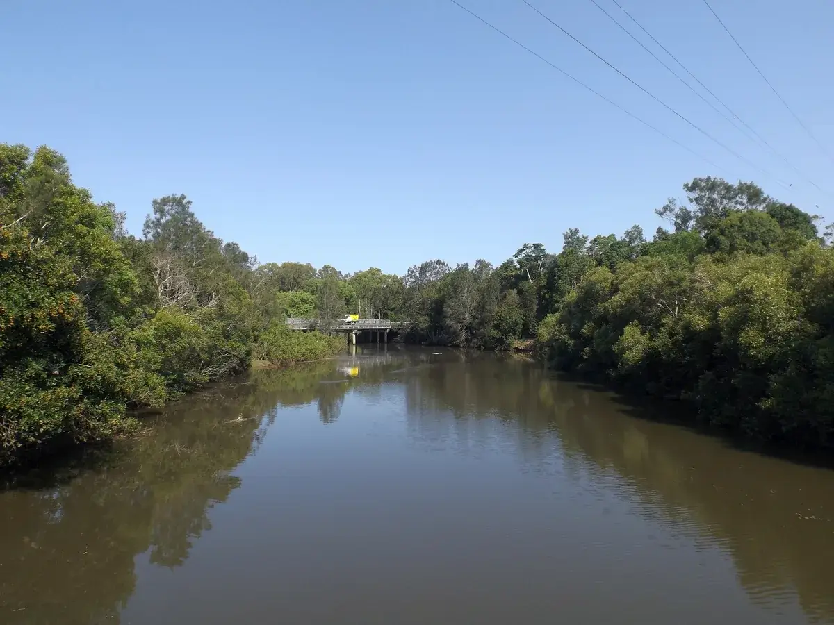 The clear green water of Tallebudgera Creek between bush banks