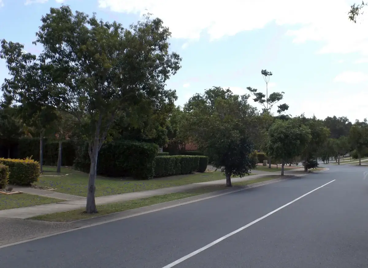 Houses along Karamea Avenue in Springfield