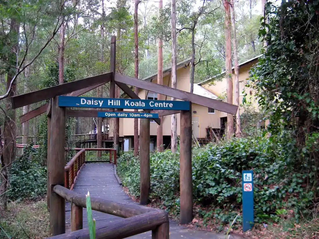 The Daisy Hill Koala Centre building among eucalypts