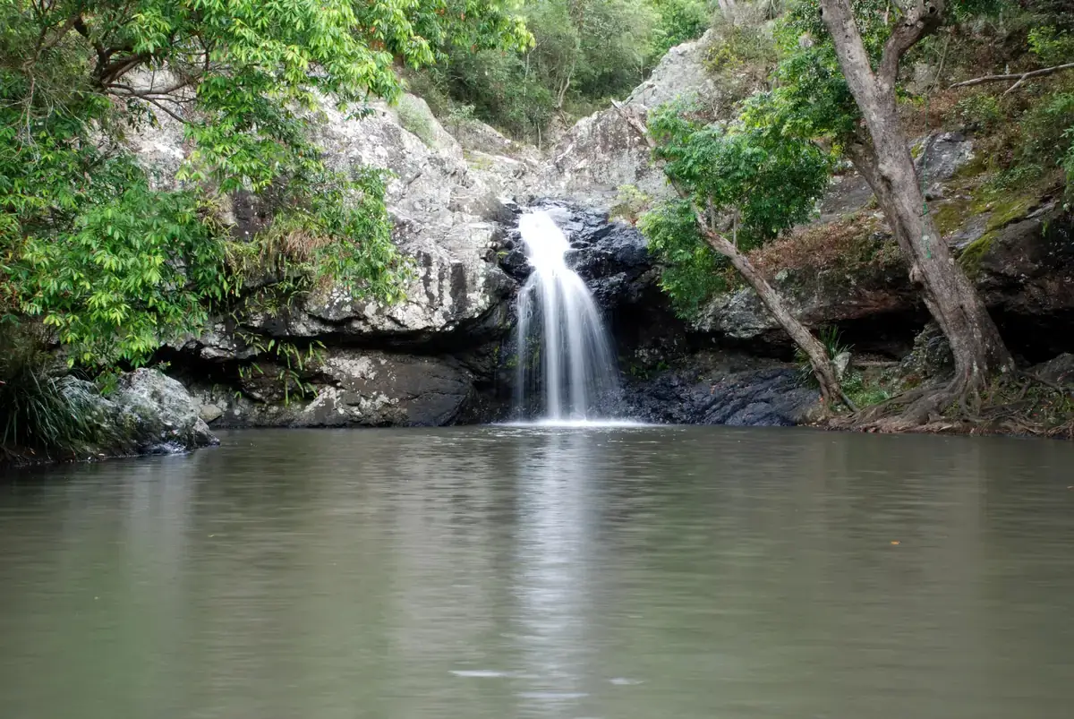 Kondalilla Falls dropping through rainforest