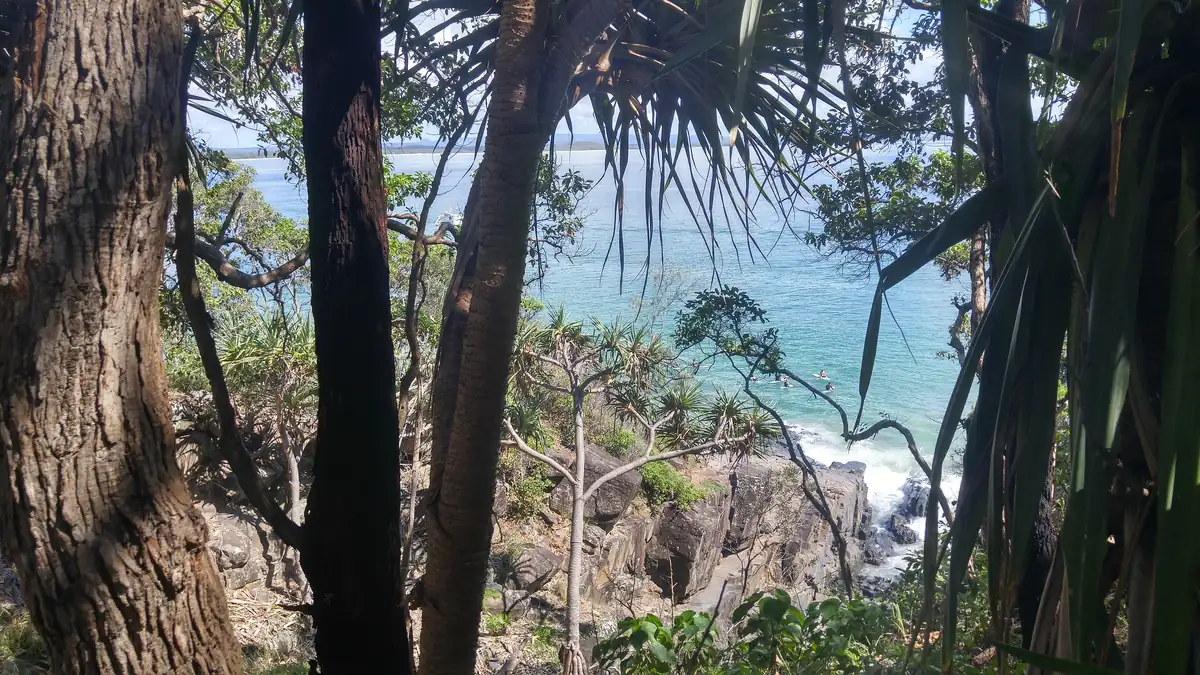 Ocean glimpsed through coastal trees on a walking trail in Noosa National Park