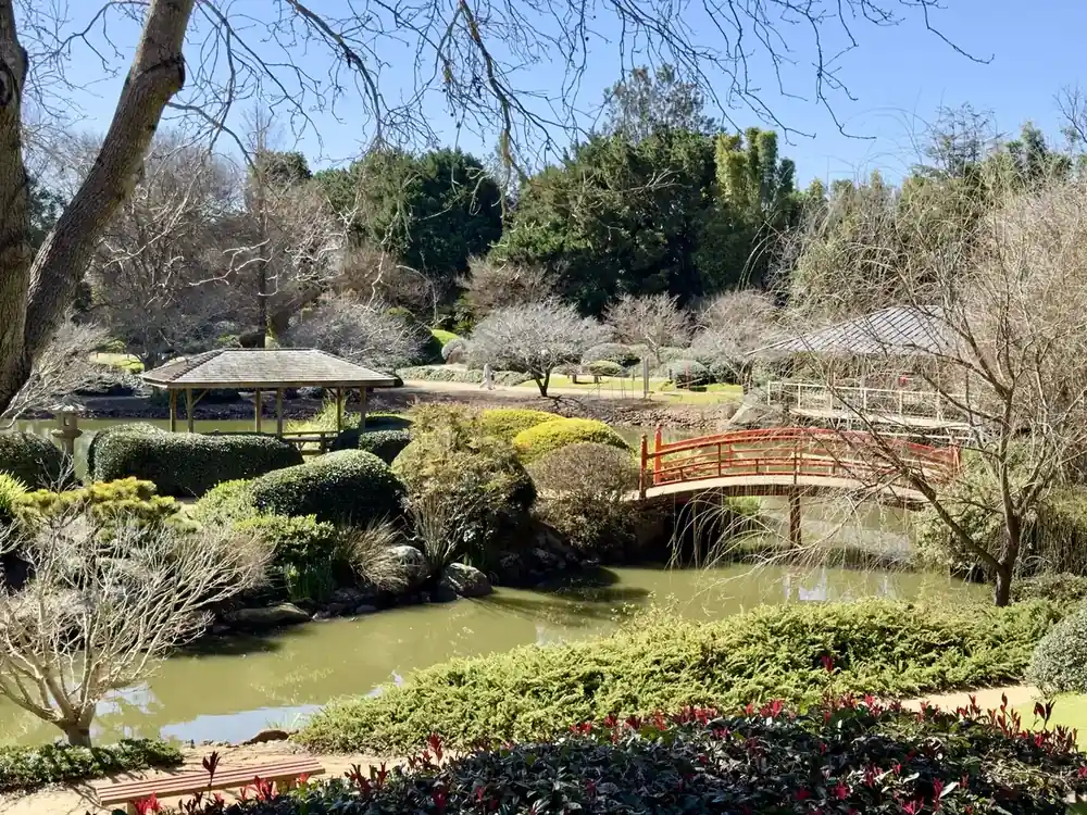 The lake and clipped hedges of Ju Raku En Japanese garden in winter