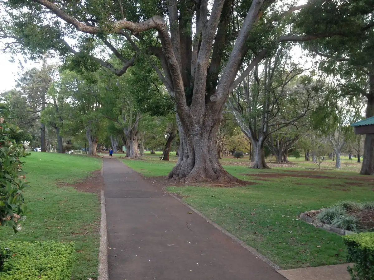 Flower beds and mature trees in Queens Park, Toowoomba